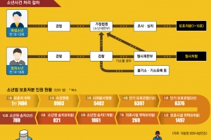 “애들은 나가서 사고 칠 궁리해요”… 보호 못해 주는 보호처분