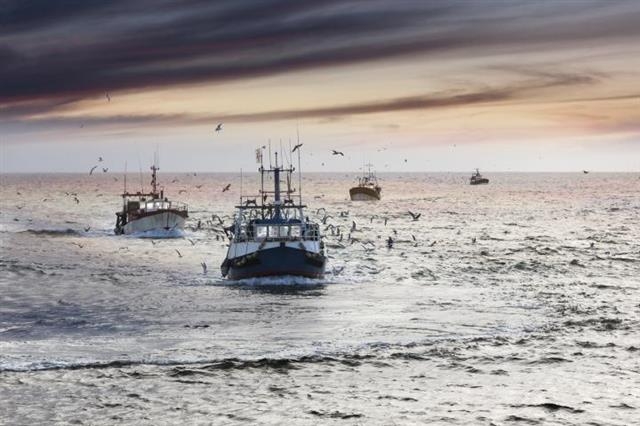 해양 생태계를 지속 가능하게 관리한다면 핵전쟁 같은 극단적 상황이 발생하더라도 어업을 통해 인류의 식량 문제를 해결할 수 있을 것이라는 연구 결과가 나왔다. 미국 해양대기관리청(NOAA) 제공