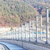 ‘투명방음벽은 새들의 무덤’...봉사단체, 충돌방지에 팔 걷어