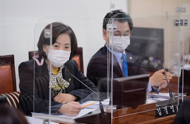 2020 행정사무감사에서 질의 중인 김경영 의원(더불어민주당 서초2)