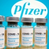 유럽의약품청 “화이자 코로나19 백신 승인 여부, 29일까지 결정”