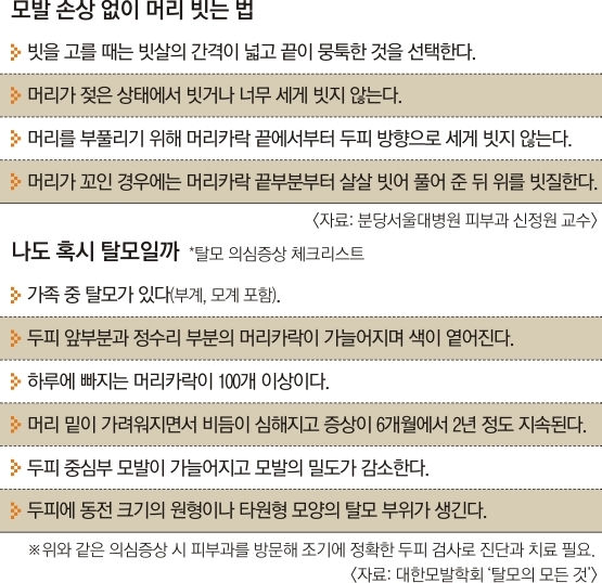 건조한 날씨 머리카락이 '듬성듬성'… 모발에 영양분 주세요 | 서울신문