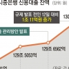 “영끌 막차 타자”… 신용대출 나흘새 1조 급증, 카뱅 접속 폭주