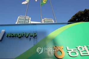 ‘생선가게 고양이’ 지역농협 간부…형에게 개인한도 10배 대출