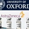 옥스퍼드대 백신 효과 70%지만 보관 편리·저렴·국내 생산 가능