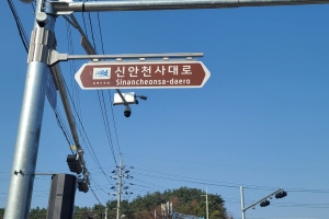 노무현 전 대통령 고향 도로 이름으로 전남 지명 명명