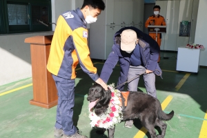 최고등급 산악구조견 현역 은퇴, 반려견으로 입양돼 여생