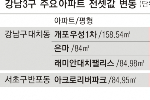 ‘3개월새 7억’ 천장 뚫린 전셋값… 강남 20억 클럽 속출