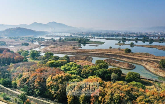 낙동강에 바짝 붙은 달성습지 전경. 습지 안쪽으로 산책로가 조성돼 있다. 달성습지는 일몰 풍경으로도 유명하다. 사진 왼쪽 위에 보이는 사문진나루터에서 ‘일몰 크루즈’가 운영된다.