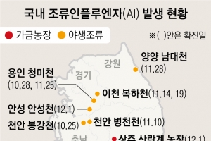 경북 상주서도 AI… 충청·세종선 48시간 이동 중지