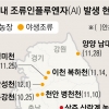 경북 상주서도 AI… 충청·세종선 48시간 이동 중지
