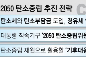 ‘탄소세’ 운 뗀 정부… 신재생에너지 전환 사업 속도