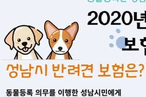 성남 내장형 등록 반려견 보험 자동 가입 큰 호응