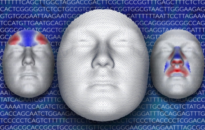 얼굴 7000개 부위와 유전자 연관성 분석