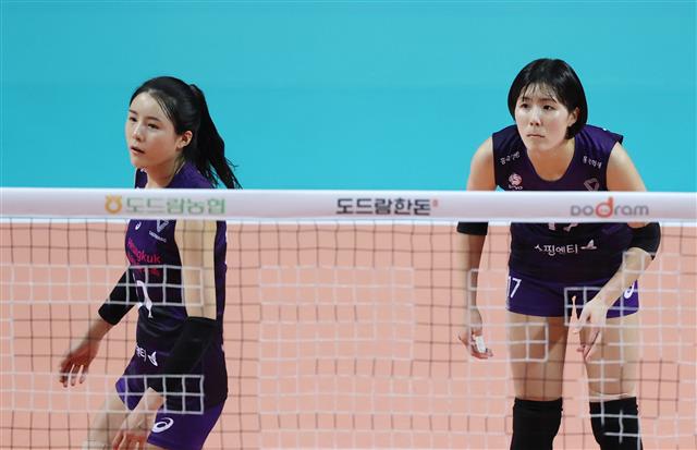[서울신문] Japan Shows Interest in Jae-Young Lee and Da-Young Da-Young “Violence Perpetrator Can’t Participate in the Olympics”