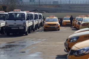 “이참에 해볼까”…코로나 한파 속 운전학원·성형외과는 더 벌었다