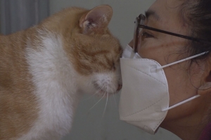 ‘애완’ 넘어 ‘반려’로… 인간과 동물 공존 찾아 20년