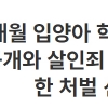 “입양아 학대로 사망케 한 부모, 살인죄 적용해달라” 청원 21만명