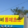 구례·남원서도 고병원성 AI 의심… 전국 확산 ‘비상’