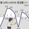 소비 두 달 연속 감소… 금융·부동산만 호황