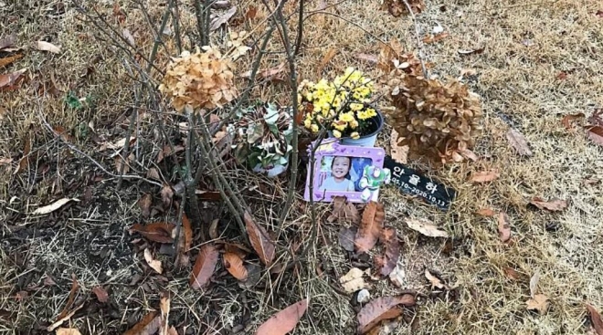 사건이 알려지기 전 쓸쓸했던 정인이의 묘지. 온라인커뮤니티