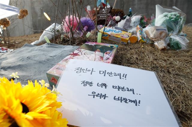 ‘정인아 미안해’ 묘지에 쌓인 추모 흔적