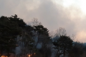 영덕 산불 11시간만에 진화