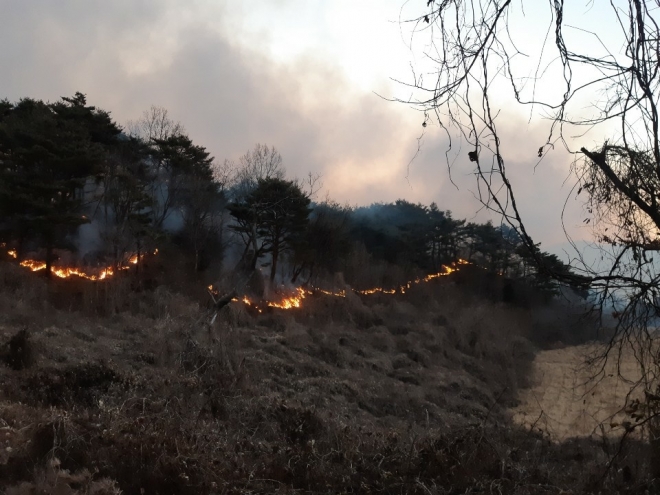 6일 오전 6시 13분쯤 영덕군 창수면 오촌리 한 야산에서 발생한 산불이 산림을 태우고 있다. 경북소방본부 제공