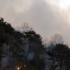 영덕 산불 11시간만에 진화