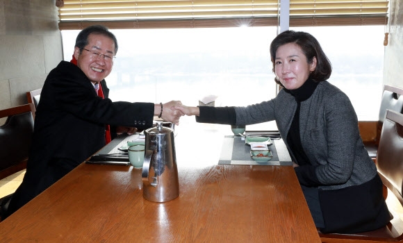 나경원 전 의원(오른쪽)과 무소속 홍준표 의원이 12일 서울 마포구 한 식당에서 만나 악수하고 있다.  2021.1.12   국회사진기자단