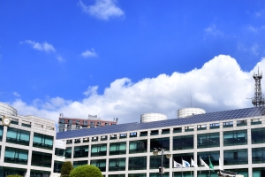 성토행위 성행 시흥시 호조벌일대 8t이상 차량 통행 금지