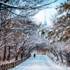 서울 투어, 눈꽃 가득한 서울의 사계를 공감하다 ‘서울의 겨울’