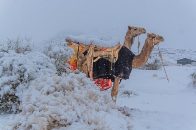 14일(현지시간) 눈이 쌓인 사우디아라비아(사우디) 남서부의 아시르 지역. 페이스북 캡처