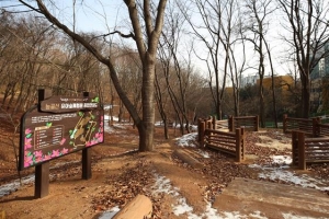 구로 어린이들 능골산서 맘껏 뛰논다