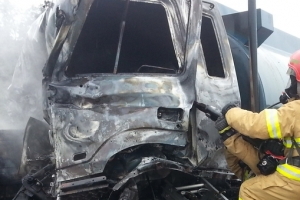 경북소방,지난해 하루 평균 164회 구조출동…벌집 제거 최다