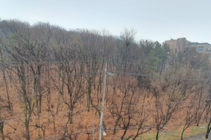 “세계문화유산 장릉산 자락 임야에 공무원주차장 조성계획 백지화하라”