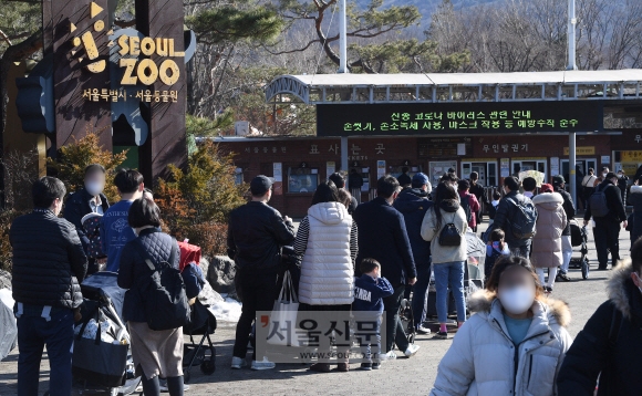 3차 대유행 끝난 건 아닌데… 날씨 풀리자 동물원에 줄섰다