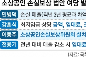 “손실 일정 비율로 보상하되, 최대 지원한도 명확히 설정해야”