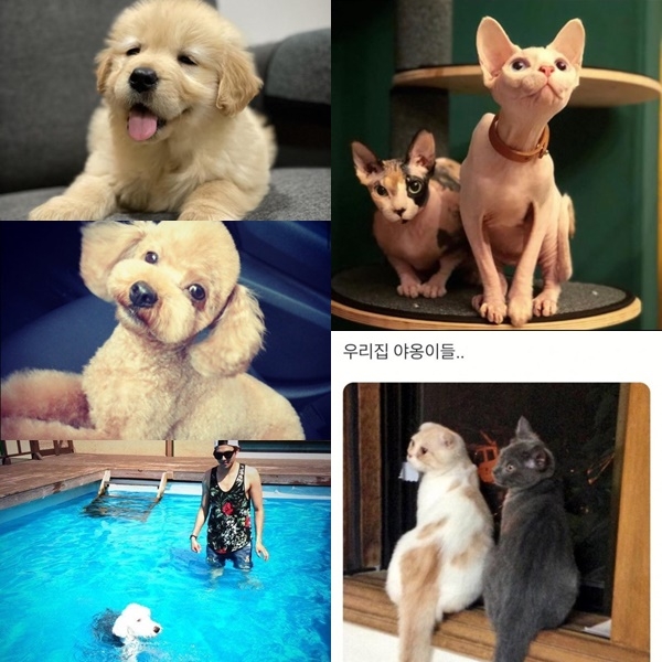 배우 박은석의 과거 SNS 게시물에 담긴 강아지, 고양이