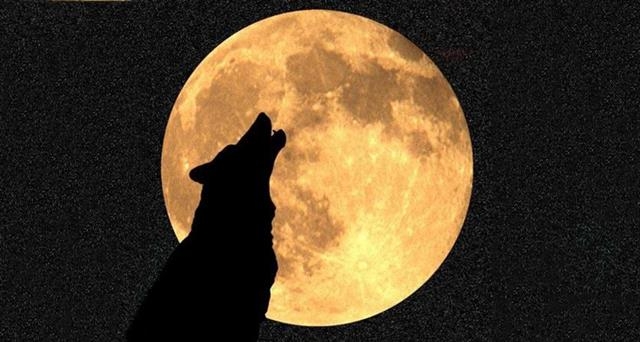 보름달이 뜨는 날 늑대인간이 나타난다는 것은 오랜 옛날 미신일 뿐이지만 마이클 잭슨의 뮤직비디오 ‘스릴러’에서 해리포터까지 보름달과 늑대인간을 소재로 한 작품들은 여전히 많다. 퍼블릭 도메인 제공