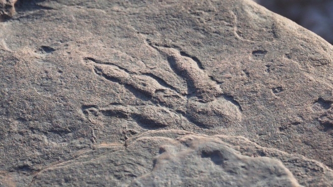 공룡 발자국 화석의 모습. 웨일스 국립박물관 제공 BBC 홈페이지 캡처 