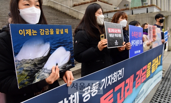 동물자유연대, 동물해방물결 등 시민단체 회원들이 1일 서울 종로구 세종문화회관 앞에서 기자회견을 열고 수족관에 감금된 돌고래를 바다에 방류할 것을 촉구하고 있다. 정연호 기자 tpgod@seoul.co.kr