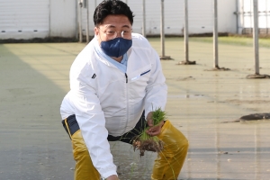 엄동설한 속 이천서 전국 첫 모내기