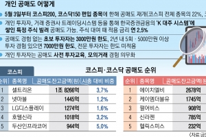 대형주만 공매도 허용? 개미들에겐 ‘그림의 떡’!