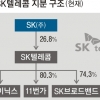 올해가 마지막 기회… SK텔레콤, 중간지주사 전환 ‘속도전’