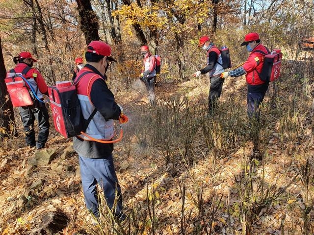 강서구 산불방지대책본부 요원들이 개화산에서 산불진압훈련을 하고 있다. 강서구 제공