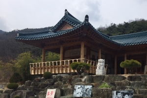 영화배우 고 신성일 기념관 2023년까지 경북 영천에 세워진다