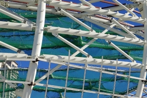 부천 상동호수공원에 식물원·카페 갖춘 생태 식물원 5월 문연다