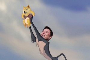 샐럽 한마디에 ‘코인 롤러코스터’ 올라탄 사람들 “묻지마 투자 위험”