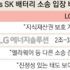LG “침해 인정하라” vs SK “美대통령 거부 기대”… 최태원·구광모 등판 촉각